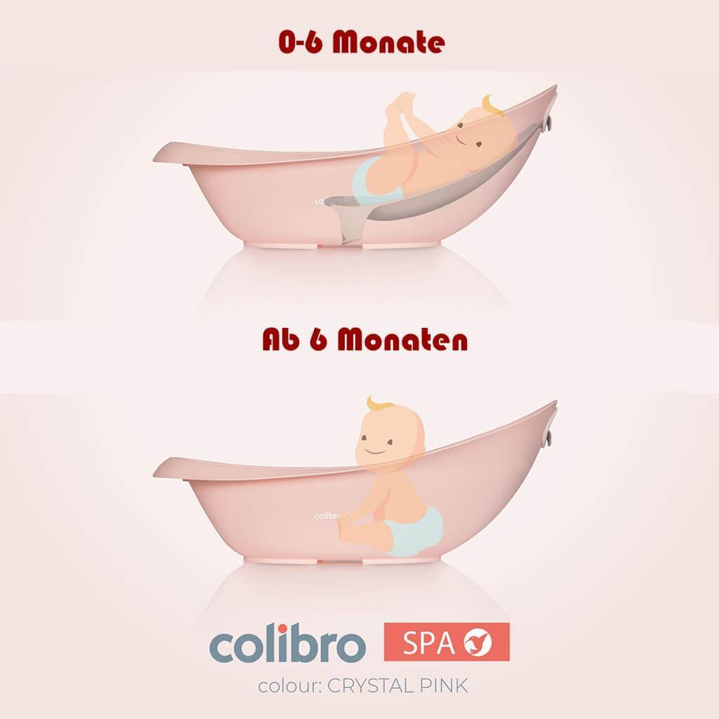 Babybadewanne COLIBRO SPA 2 in 1 - cleo-kinderwagen.de