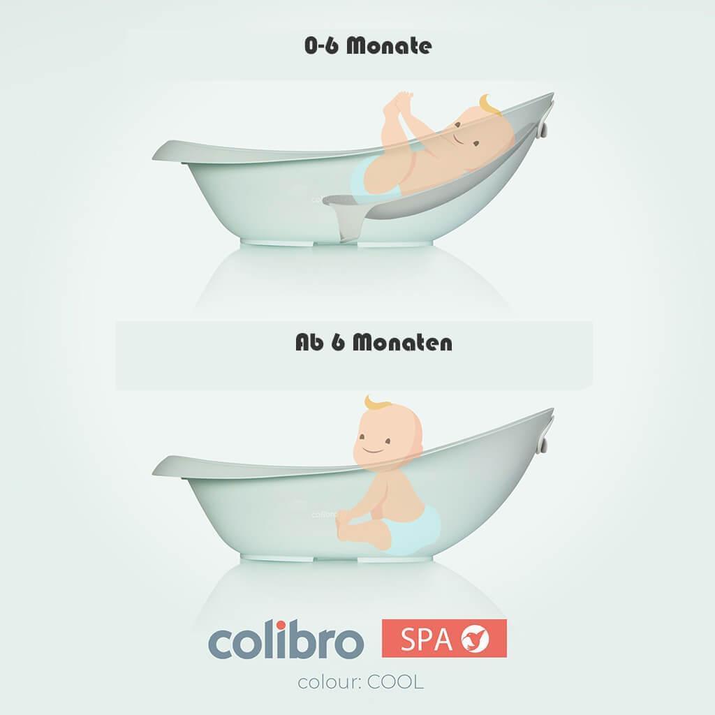 Babybadewanne COLIBRO SPA 2 in 1 - cleo-kinderwagen.de