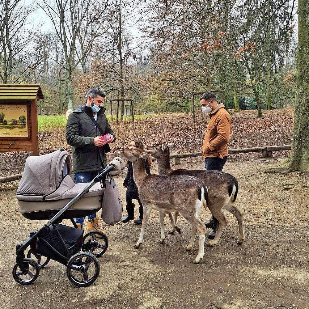 ROCCO - cleo-kinderwagen.de